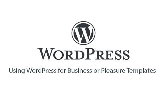 using wordpress for business or pleasure templates plr database